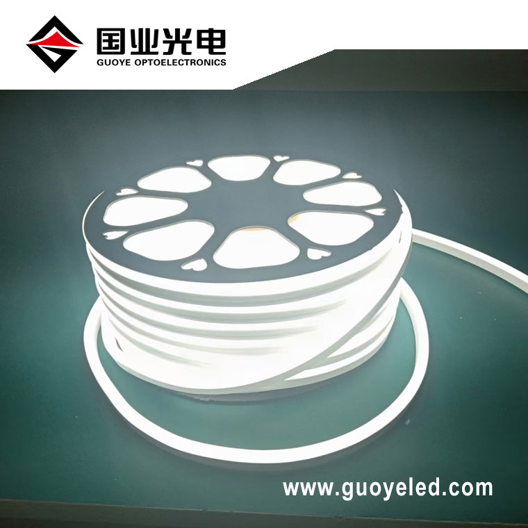 Led néon flexible 220v